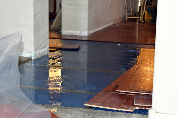 Professional Basement Flood Cleanup technician working in Hornbeak, TN